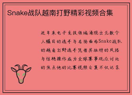 Snake战队越南打野精彩视频合集