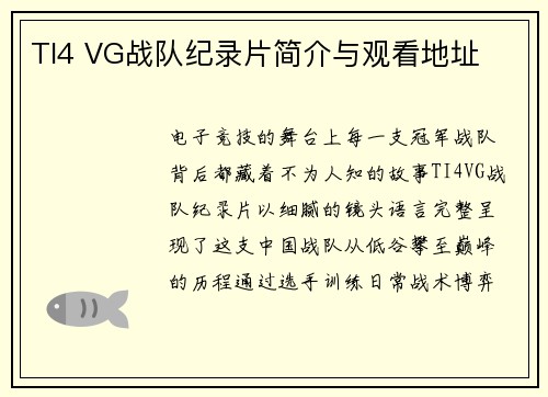 TI4 VG战队纪录片简介与观看地址